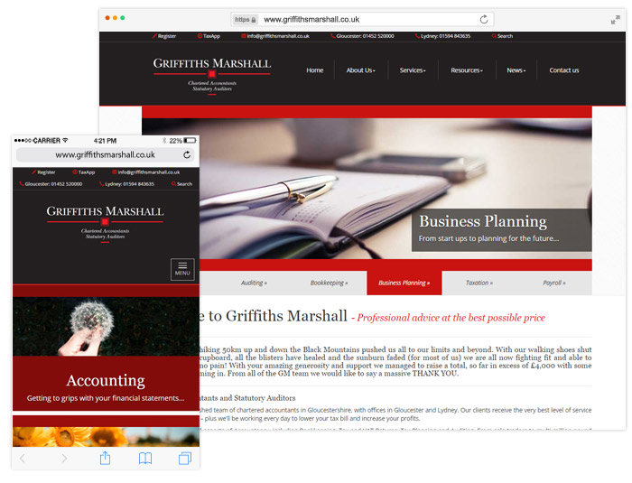 Griffiths Marshall website example