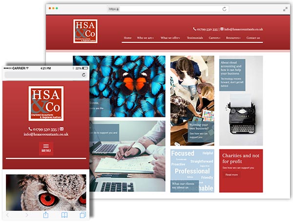 HSA & Co website example