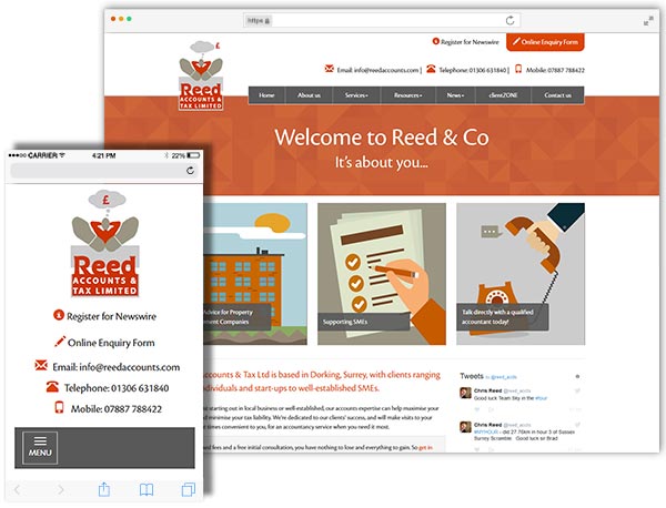Reed and Co website example