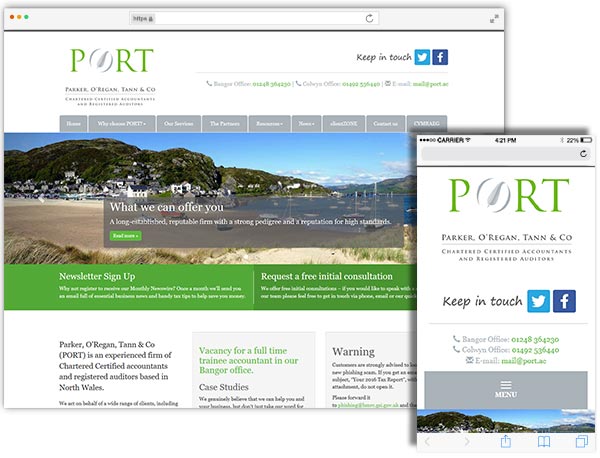 PORT website example